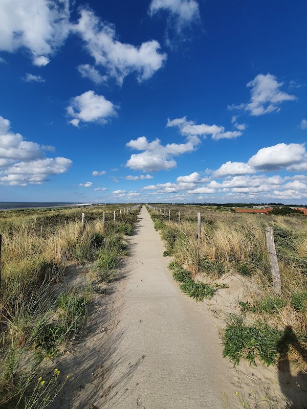Sandy Serenity: Strand ter Heijde surrounding landscape