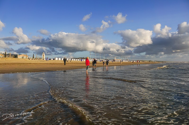 Sunny Shores: Katwijk aan Zee Beach - Katwijk aan Zee Beach