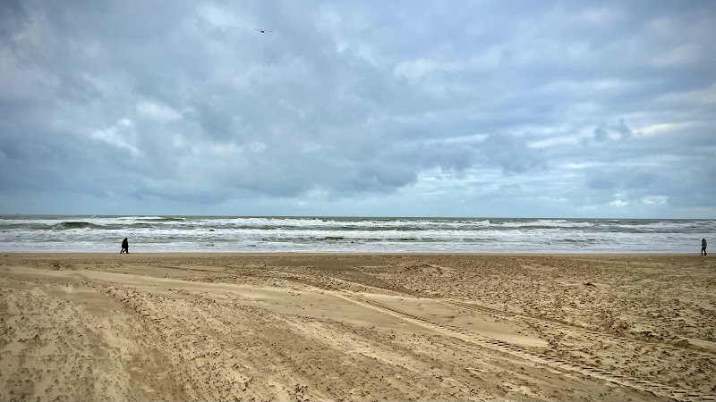 Sunny Shores: Katwijk aan Zee Beach - Katwijk aan Zee Beach