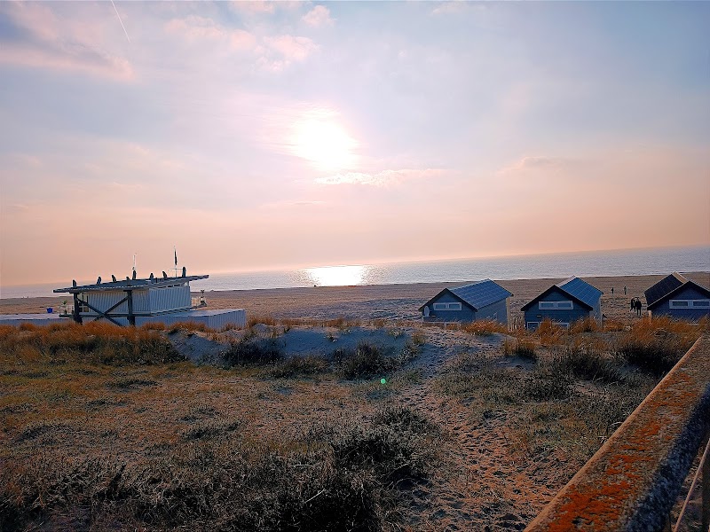 Sunny Shores: Katwijk aan Zee Beach surrounding landscape