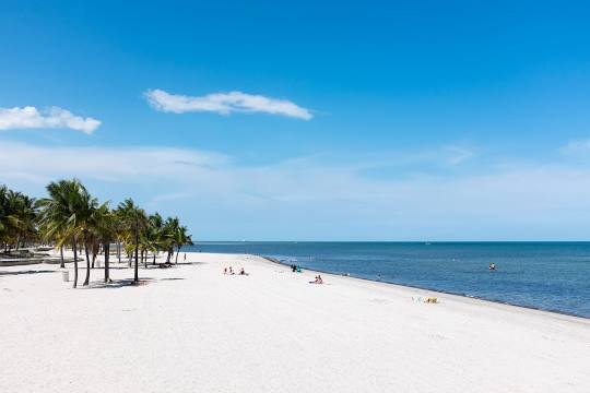 Stunning Shores of Key Biscayne Beach surrounding landscape
