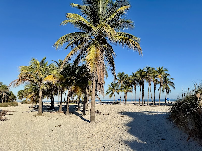 Stunning Shores of Key Biscayne Beach - Key Biscayne Beach