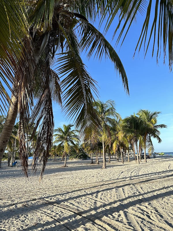 Tropical Escape at Crandon Park - Crandon Park