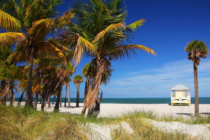 Tropical Escape at Crandon Park - Crandon Park