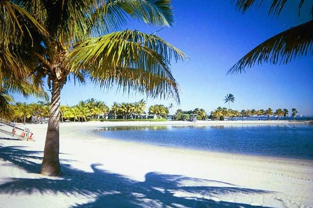 Serenity in Nature at Matheson Hammock Park & Marina outdoor detail