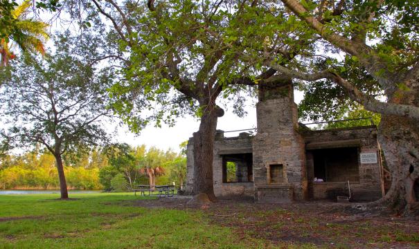 Serenity in Nature at Matheson Hammock Park & Marina surrounding landscape