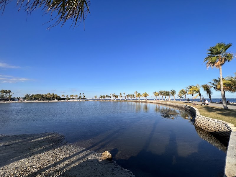 Serenity in Nature at Matheson Hammock Park & Marina - Matheson Hammock Park & Marina