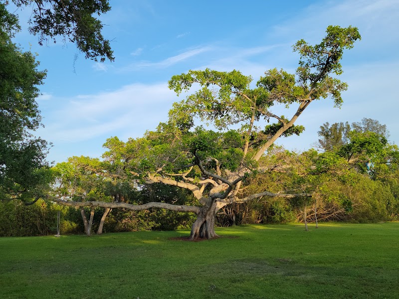 Serenity in Nature at Matheson Hammock Park & Marina - Matheson Hammock Park & Marina