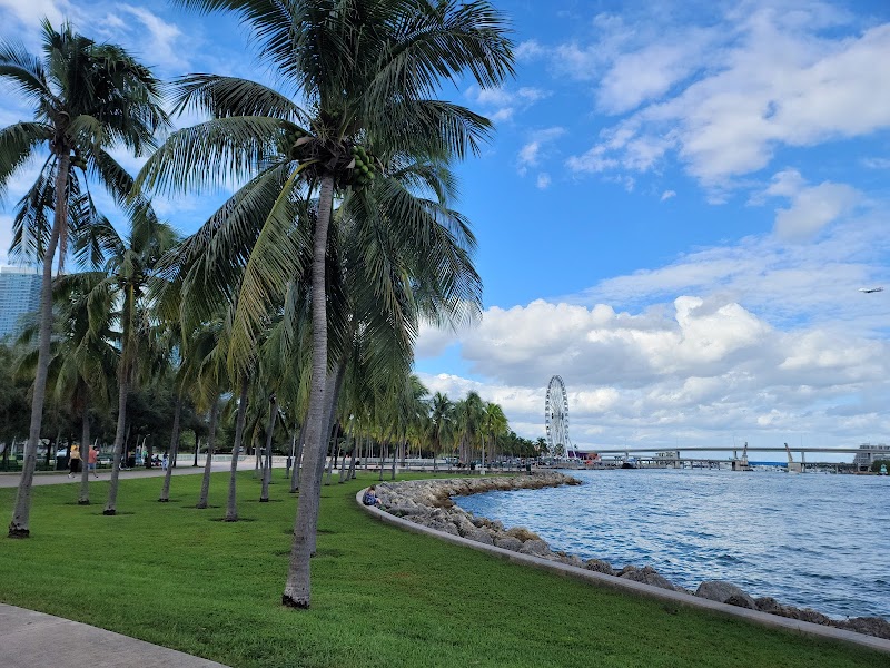 Waterfront Oasis: Bayfront Park in Miami - Bayfront Park