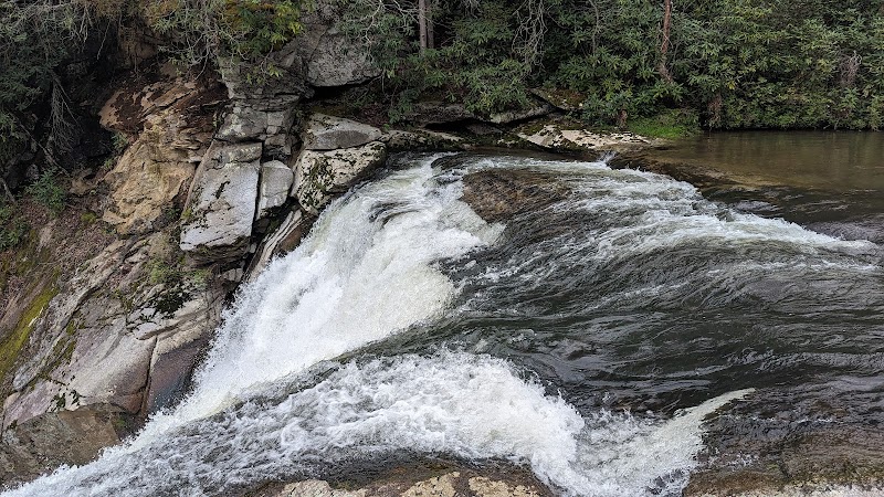 Waterfalls & Wilderness: The Beauty of Pisgah Game Lands - Pisgah Game Lands