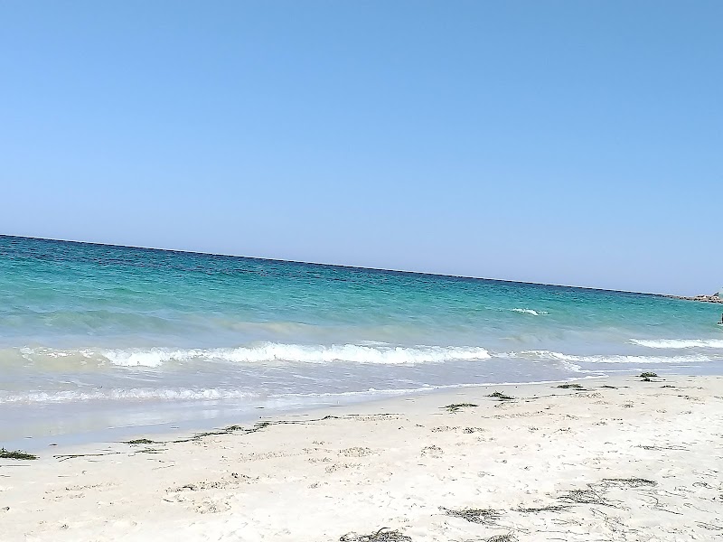 Pristine Shores of Plage Essaguia Djerba - Plage Essaguia Djerba