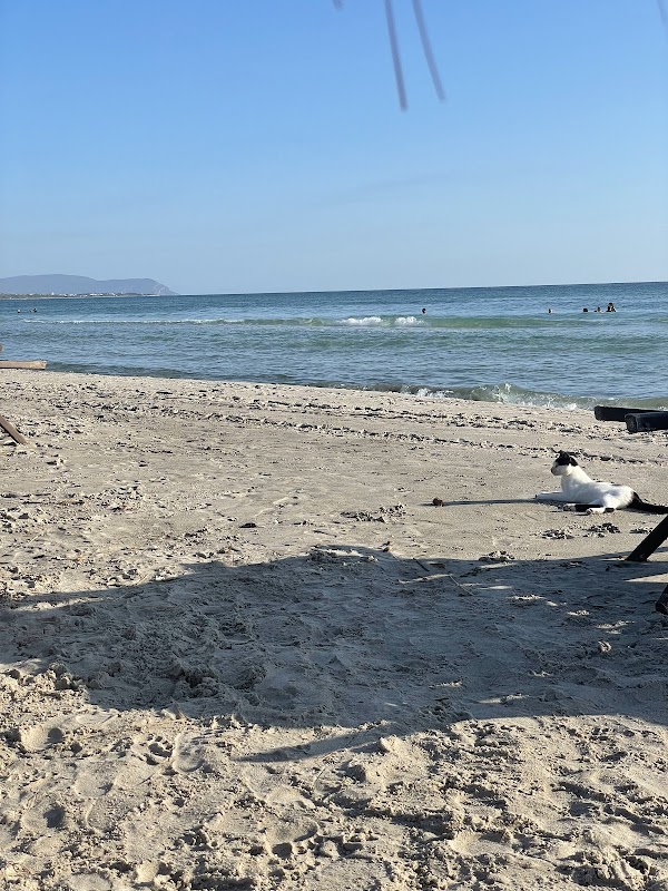 El Haouaria Natural Reserve adventures
