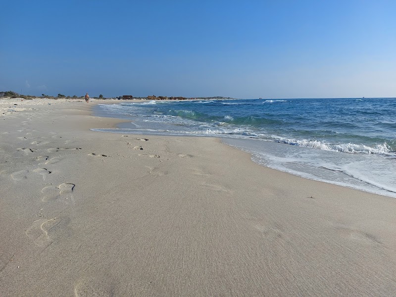 Seaside Serenity at Plage de La Mansourah - Plage de La Mansourah