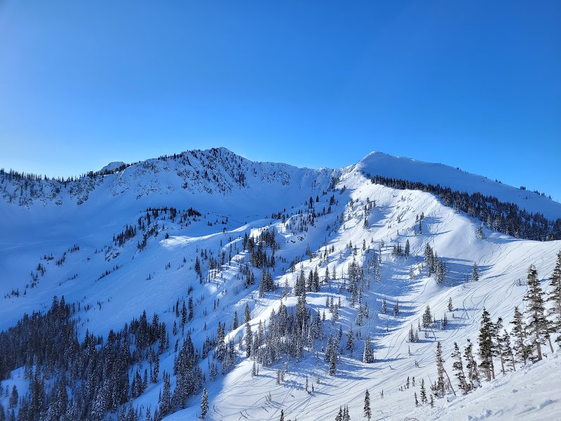 Mount Wolverine: Alpine Adventure Awaits surrounding landscape