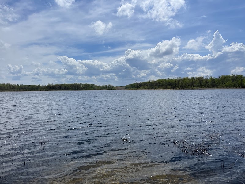 Hiking & Nature in Homen State Forest - Homen State Forest