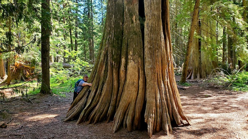 Natural Wonders of Kootenai National Forest - Kootenai National Forest