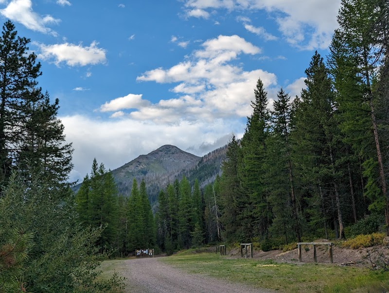 Nature's Majesty at Lolo National Forest - Lolo National Forest