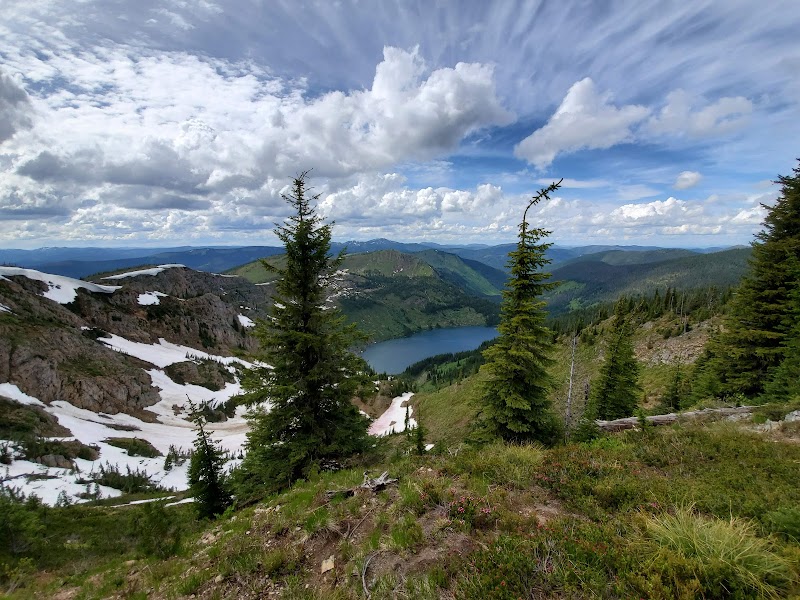 Nature's Majesty at Lolo National Forest - Lolo National Forest