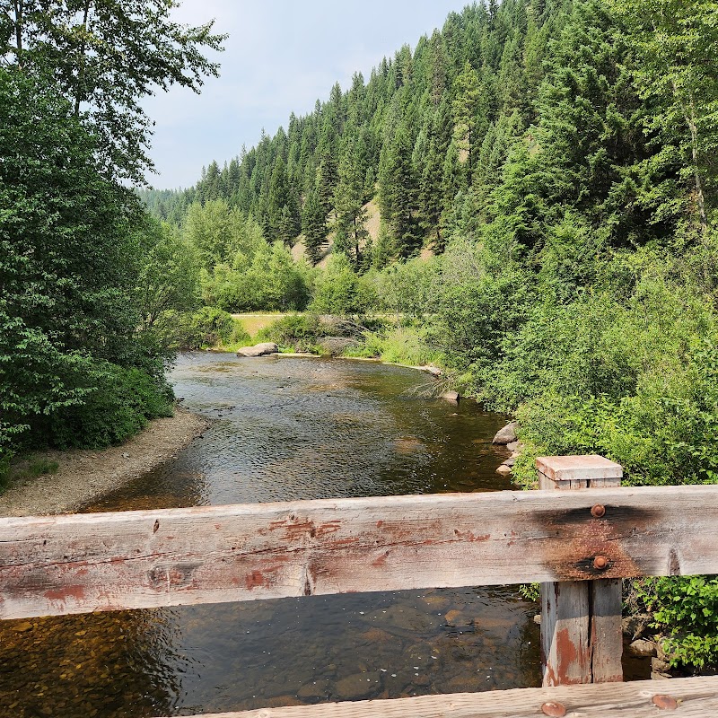 Nature's Majesty at Lolo National Forest - Lolo National Forest