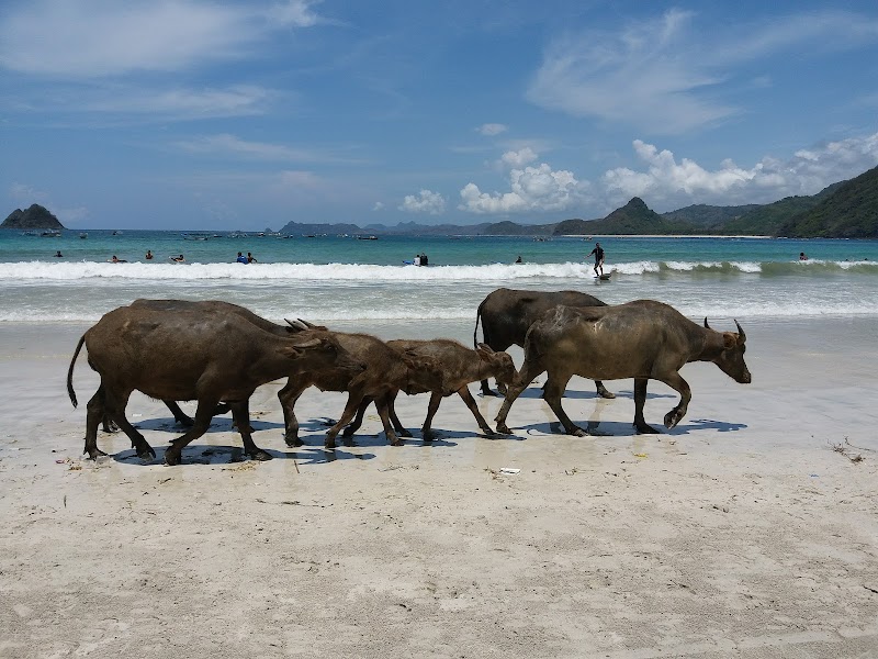 Relaxing Retreat at Selong Belanak Beach - Selong Belanak Beach