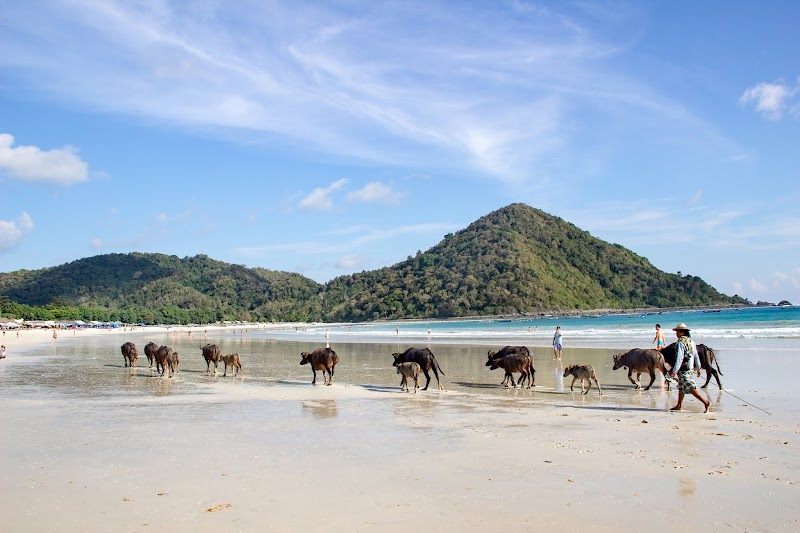 Relaxing Retreat at Selong Belanak Beach - Selong Belanak Beach