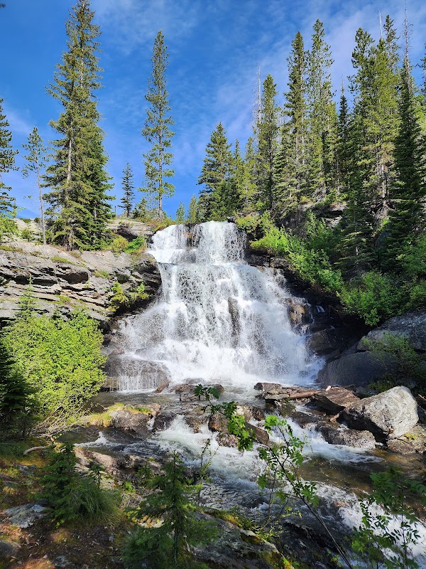 Wild Majesty in Bitterroot National Forest - Bitterroot National Forest