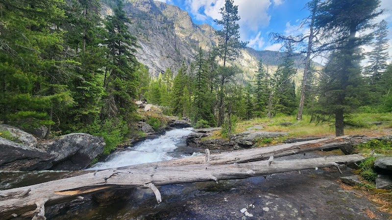 Wild Majesty in Bitterroot National Forest surrounding landscape