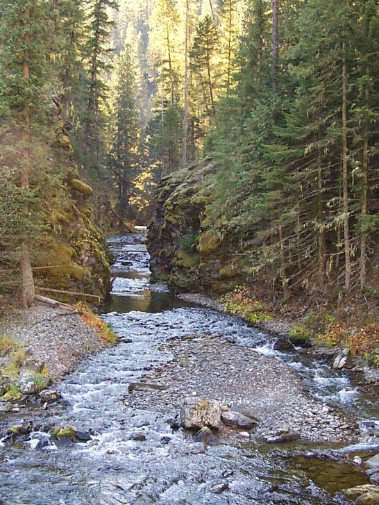 Discover Coeur d'Alene National Forest - Coeur d'Alene National Forest