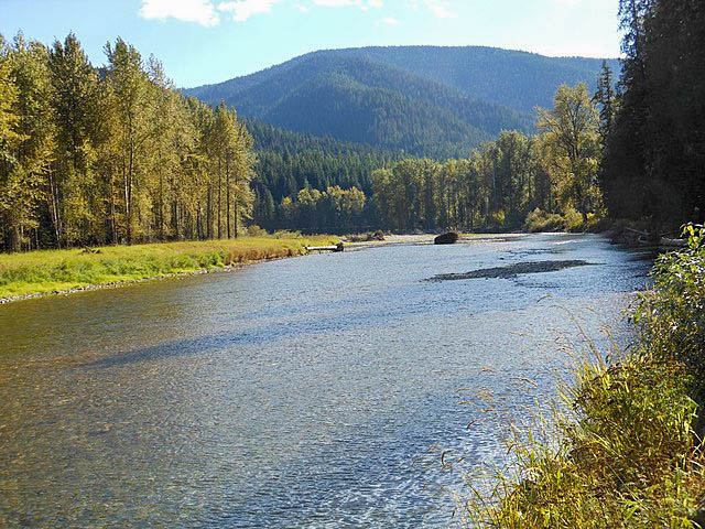 Discover Coeur d'Alene National Forest - Coeur d'Alene National Forest