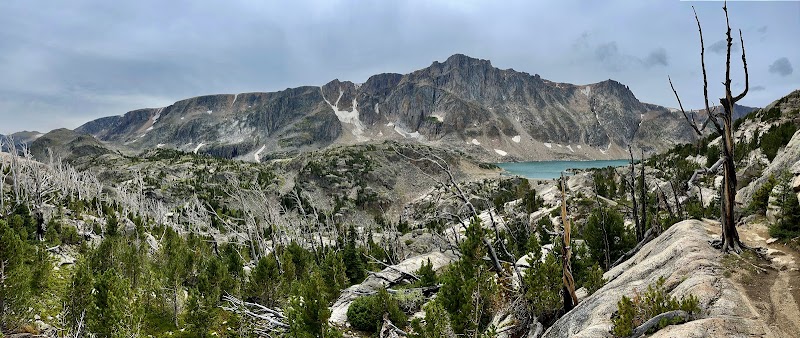 Nature's Oasis: Gallatin National Forest outdoor detail
