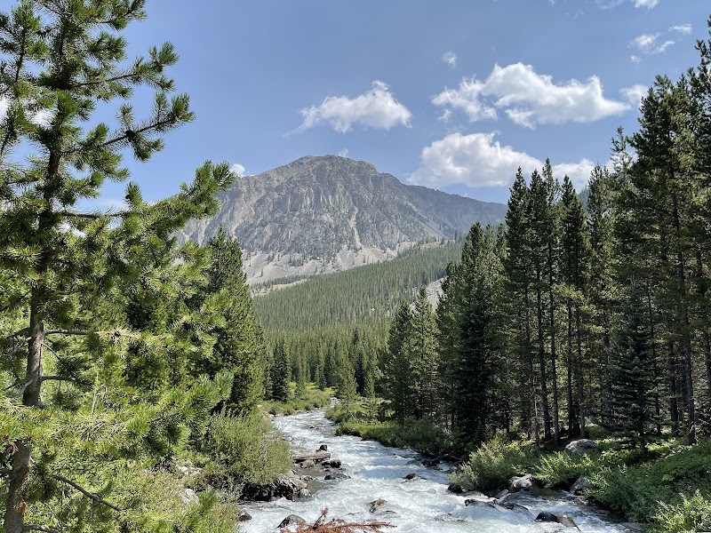Nature's Oasis: Gallatin National Forest surrounding landscape