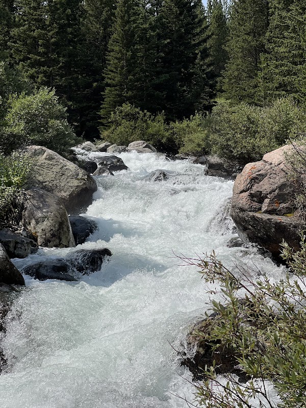 Nature's Oasis: Gallatin National Forest - Gallatin National Forest