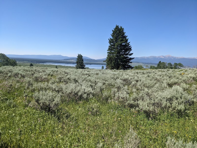 Nature's Oasis: Gallatin National Forest - Gallatin National Forest