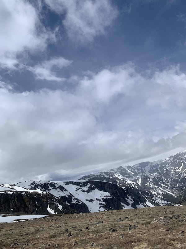 Wilderness Wonders: Shoshone National Forest surrounding landscape