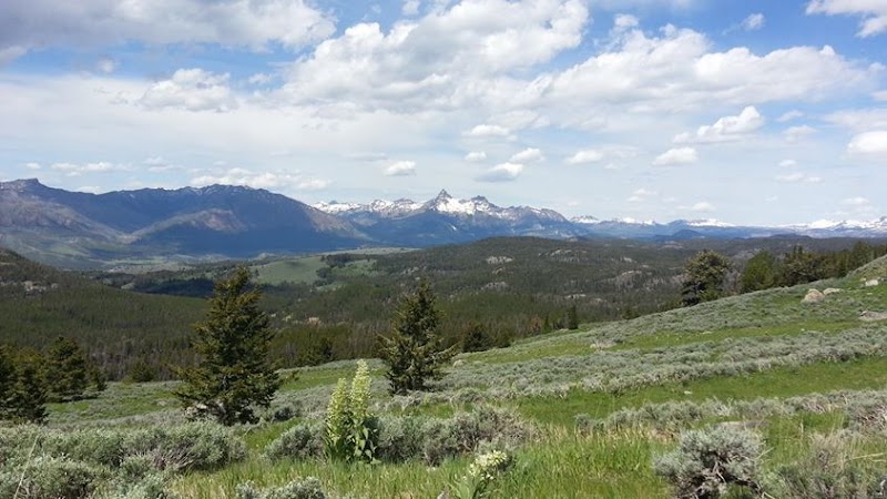 Wilderness Wonders: Shoshone National Forest outdoor detail