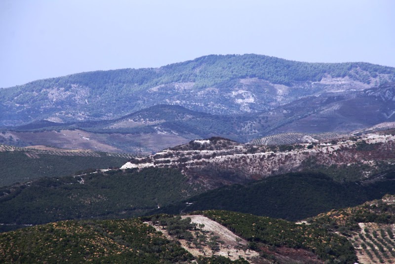 Discover the Serenity of Cakran - Cakran