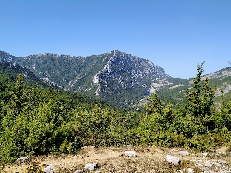 Scenic Wonders of Qafshtama: Albania's Hidden Green Gem - Qafshtama