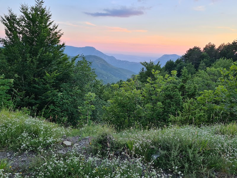 Scenic Wonders of Qafshtama: Albania's Hidden Green Gem - Qafshtama