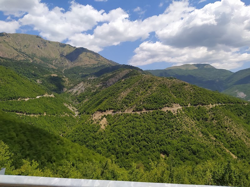 Scenic Wonders of Qafshtama: Albania's Hidden Green Gem - Qafshtama