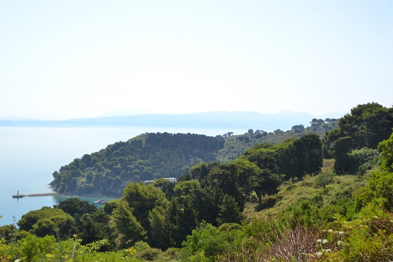 Discover the Natural Beauty of Sazan Forest - Sazan Forest
