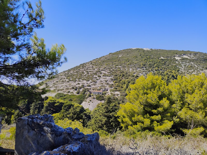 Discover the Natural Beauty of Sazan Forest - Sazan Forest