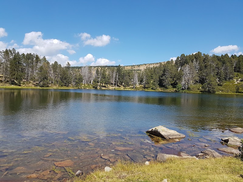 Tranquil Waters of Estany de la Nou - Estany de la Nou