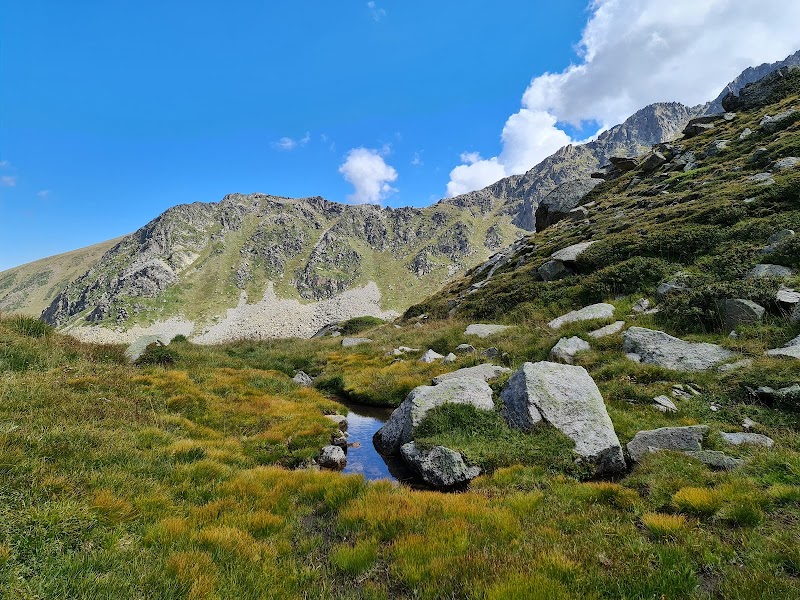 Discover Tranquility at Estany de les Abelletes - Estany de les Abelletes