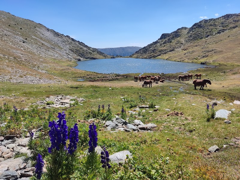 Exploring the Beauty of Estany de Coma d'Or - Estany de Coma d'Or