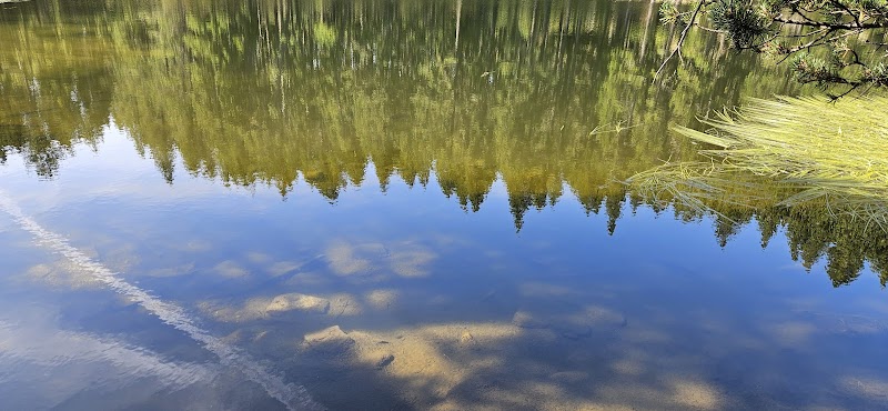 Serene Waters of Bassa de Comabella - Bassa de Comabella