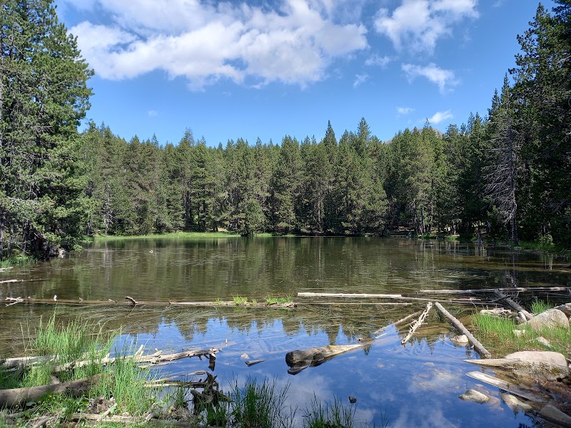 Serene Waters of Bassa de Comabella - Bassa de Comabella