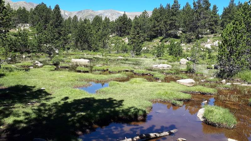 Scenic Escape to Lac de Coumasse - Lac de Coumasse