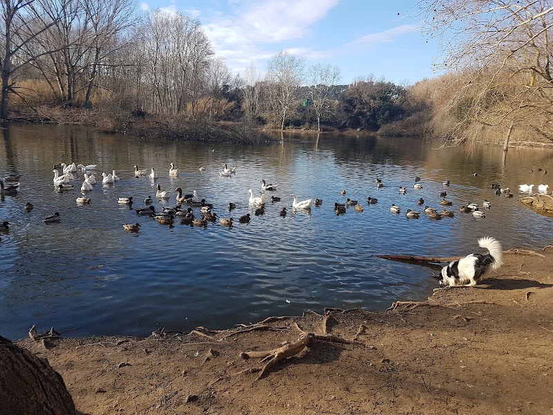 Duck Raft Serenity - Bassa Dels Anecs, Barcelona - Duck Raft - Bassa Dels Anecs