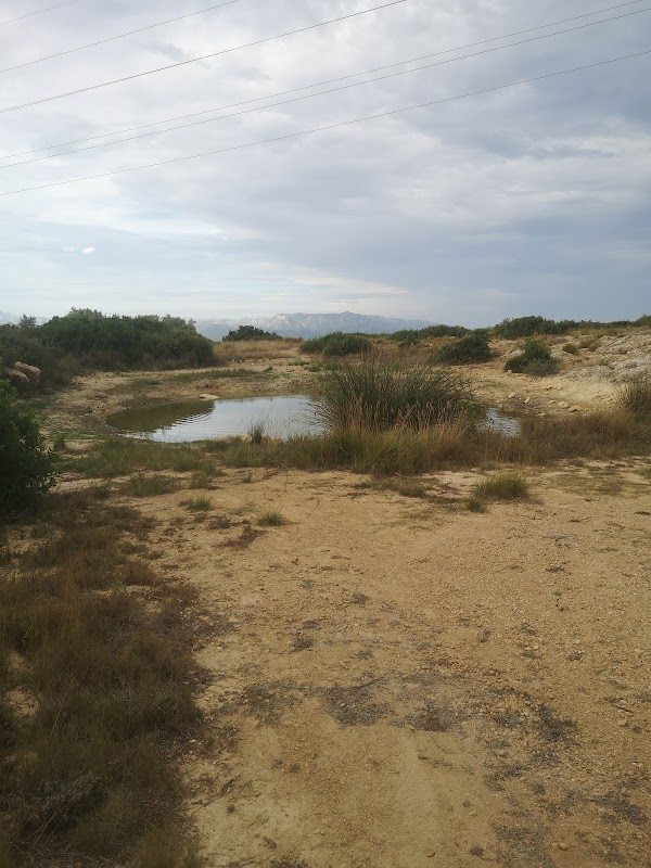 Serene Reflections: Bassa de les Comes - Bassa de les Comes