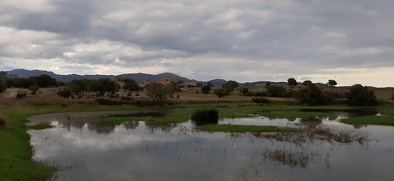 Picturesque Serenity at La Bassa, Girona - La Bassa